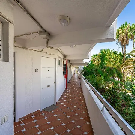 Palm & Relax - Appartement